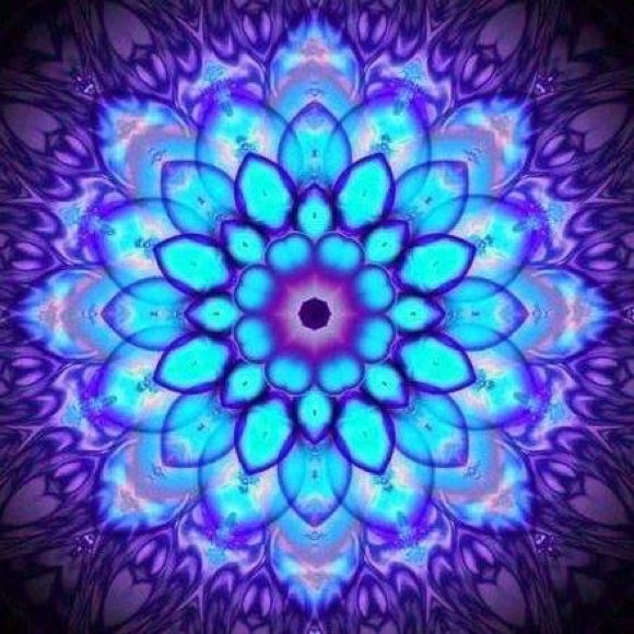 Meet your Posher, Kelli - Picture 1 of 1